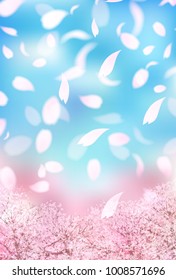 Cherry Blossoms Flower landscape background