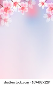 Cherry Blossoms flower spring background