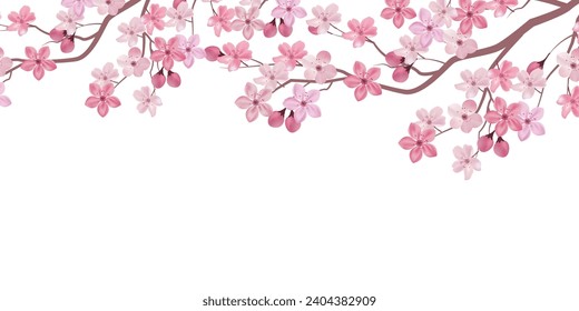 Cherry Blossoms Flower Spring Landscape Background