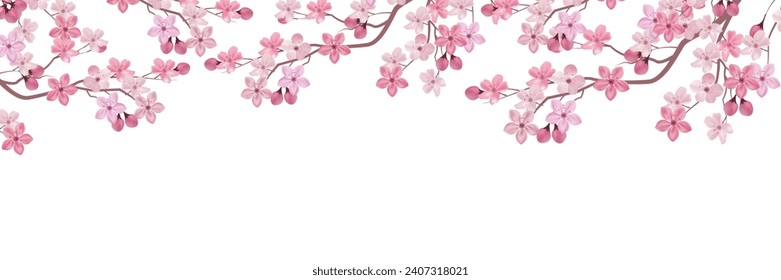 Cherry Blossoms Flower Spring Landscape Background