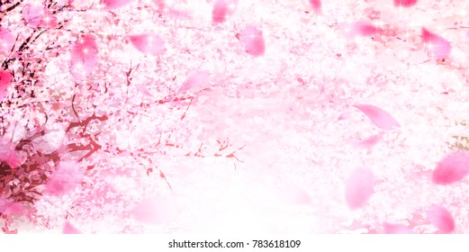 Cherry blossoms Flowers Spring background