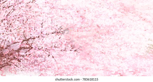 Cherry blossoms Flowers Spring background
