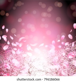 Cherry blossoms Flowers Spring background