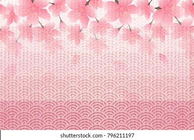 Cherry blossoms Flowers Spring background