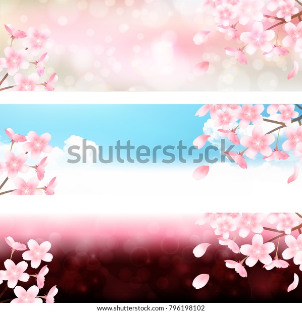 Cherry Blossoms Flowers Spring Background Stock Vector Royalty Free Shutterstock