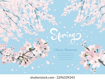 Cherry Blossoms Fluttering in the Clear Sky on a Bright Spring Day