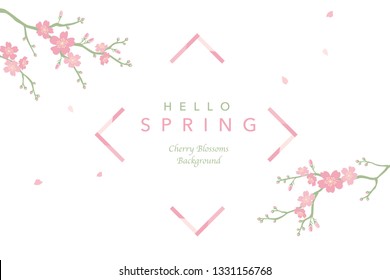Cherry blossoms frame illustration, Vector background