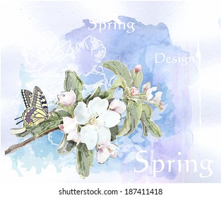 cherry blossoms in full bloom  and butterfly