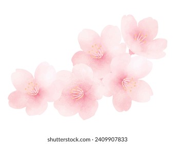 Cherry blossoms in full bloom. Cute hand painted spring flower. Watercolor illustration.