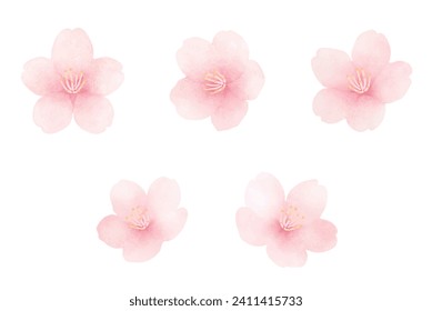 Cherry blossoms in full bloom. Cute hand painted spring flower set. Watercolor illustration.
