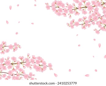 Cherry blossoms in full bloom frame