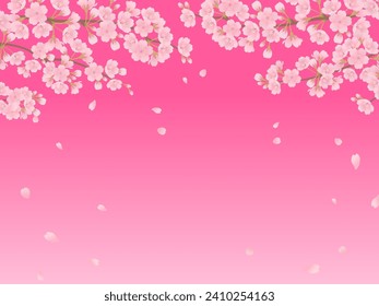 Flores de cerezo en plena floración