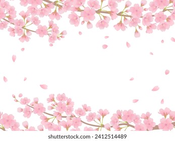 Cherry blossoms in full bloom frame