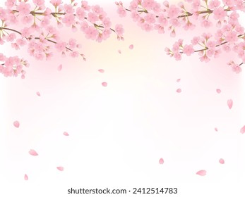 Cherry blossoms in full bloom frame