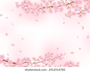 Cherry blossoms in full bloom frame background