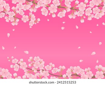 Cherry blossoms in full bloom frame background
