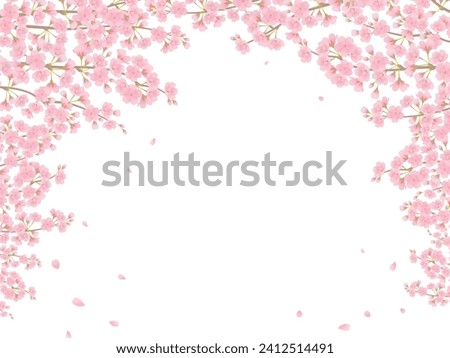 Cherry blossoms in full bloom frame
