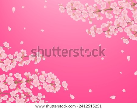 Cherry blossoms in full bloom frame