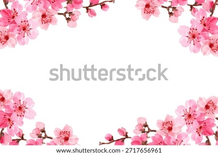 Cherry blossoms in full bloom frame