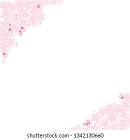 Cherry blossoms full bloom illustration vector spring