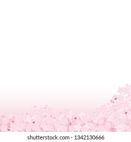 Cherry blossoms full bloom illustration vector spring