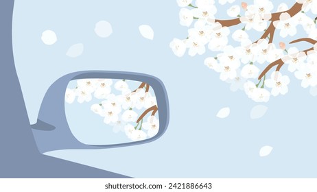 Cherry blossoms in full bloom reflected in the car door mirror