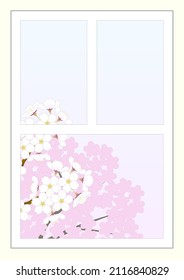 Cherry blossoms in full bloom seen from the window in the spring morning