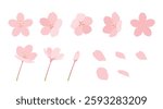 Cherry blossoms in full bloom. Set of cherry blossom petal icons and decorations. Illustration material of cute spring flowers.