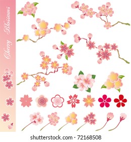 Cherry blossoms icons set. Illustration vector.