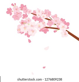 Cherry Blossoms illustration - Shutterstock ID 1276809238