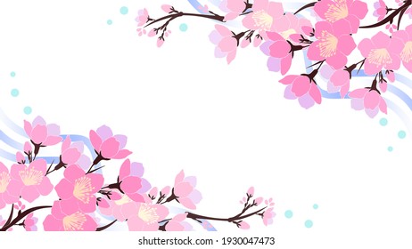 Cherry blossoms , illustration background material