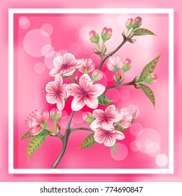 Cherry blossoms illustration.   Greeting card, wedding invitation, post card. Flowering Sakura on the pink background.