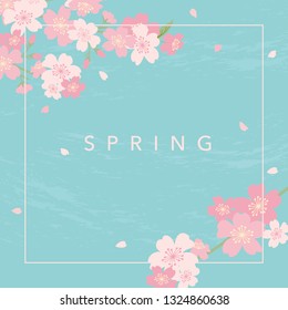 Cherry blossoms illustration on blue background