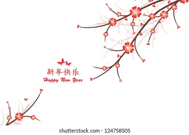 Cherry Blossoms isolated on white background