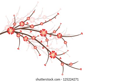 Flores de cerezo aisladas en fondo blanco