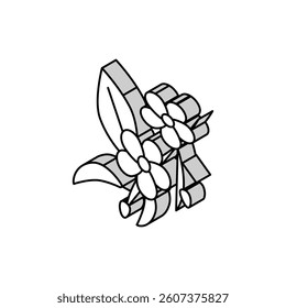 cherry blossoms isometric icon vector. cherry blossoms sign. isolated symbol illustration