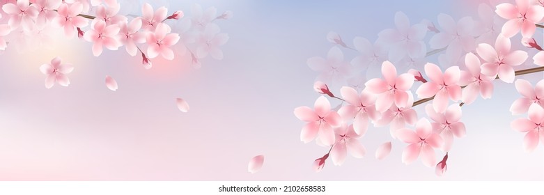 Cherry blossoms Japanese pattern spring background 