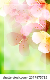 Cherry Blossoms Japanese Pattern Watercolor Background