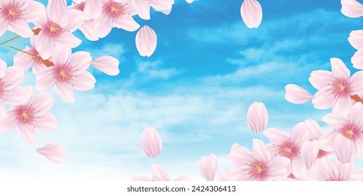 Cherry Blossoms Landscape Spring Background