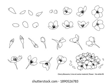 Cherry blossoms, line art illustration. Material, design parts. Various angles (black and white, line drawing, white background, flowers: no white fill)