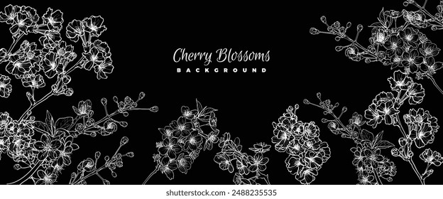 Cherry Blossoms line art vector, hand drawn illustration on pink background. White and black cherry blossom outline for online and print projects.