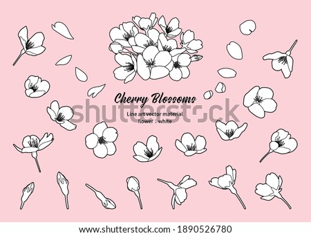 Cherry blossoms, line drawing illustration. Material, design parts. Various angles (black and white, line drawing, flower: painted white)