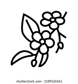 Kirschblüten-Linie Symbol Vektorgrafik. Kirschblütenzeichen isoliertes Kontursymbol