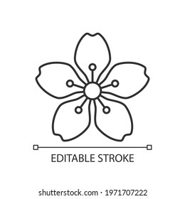 Cherry blossoms linear icon. Japanese sakura. Seasonal march flowers. Tree bloom. Chinese spring. Thin line customizable illustration. Contour symbol. Vector isolated outline drawing. Editable stroke