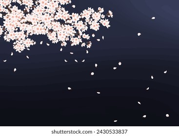 Cherry blossoms cherry blossoms at night background night illustration cherry blossom snowstorm