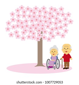 Cherry blossoms and old people