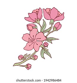 Cherry blossoms on a branch. Vector illustration. Contour image. Stock vector. Sakura. Postcard. Pink flowers. White background.