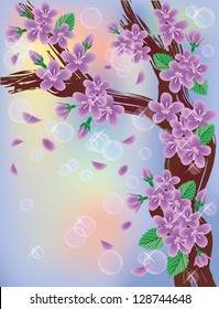 Cherry blossoms on sky background, vector illustration