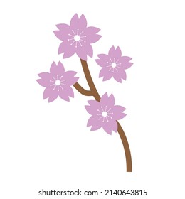 Cherry blossoms on tree branches. Vector.