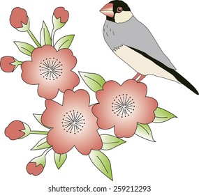Cherry blossoms and paddy bird
